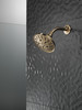 Delta 52669-CZ-PR Universal Showering Components H2Okinetic 5-Setting Traditional Raincan Shower Head, Lumicoat Champagne Bronze