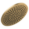 52158-CZ25 Universal Showering Components Single-Setting Metal Raincan Shower Head, Champagne Bronze