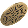 52158-CZ25 Universal Showering Components Single-Setting Metal Raincan Shower Head, Champagne Bronze