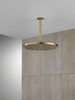 52158-CZ25 Universal Showering Components Single-Setting Metal Raincan Shower Head, Champagne Bronze