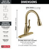 9178-CZ-DST Leland 11.47-in x 10.44-in x 14.88-in Single-Handle Pull-Down Kitchen Faucet with Shieldspray Technology, Champagne Bronze