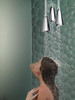 SHOWERHEAD 57140-PN ZURA