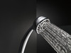 HAND SHOWER 59436-PK UNIV