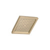 Raincan Single-Setting Shower Head in Champagne Bronze