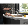 Single Handle Pull-Out Kitchen Faucet in Arctic Stainless Finish