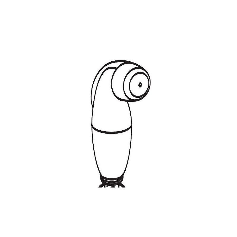 Spray Head and Hose Assembly in Chrome