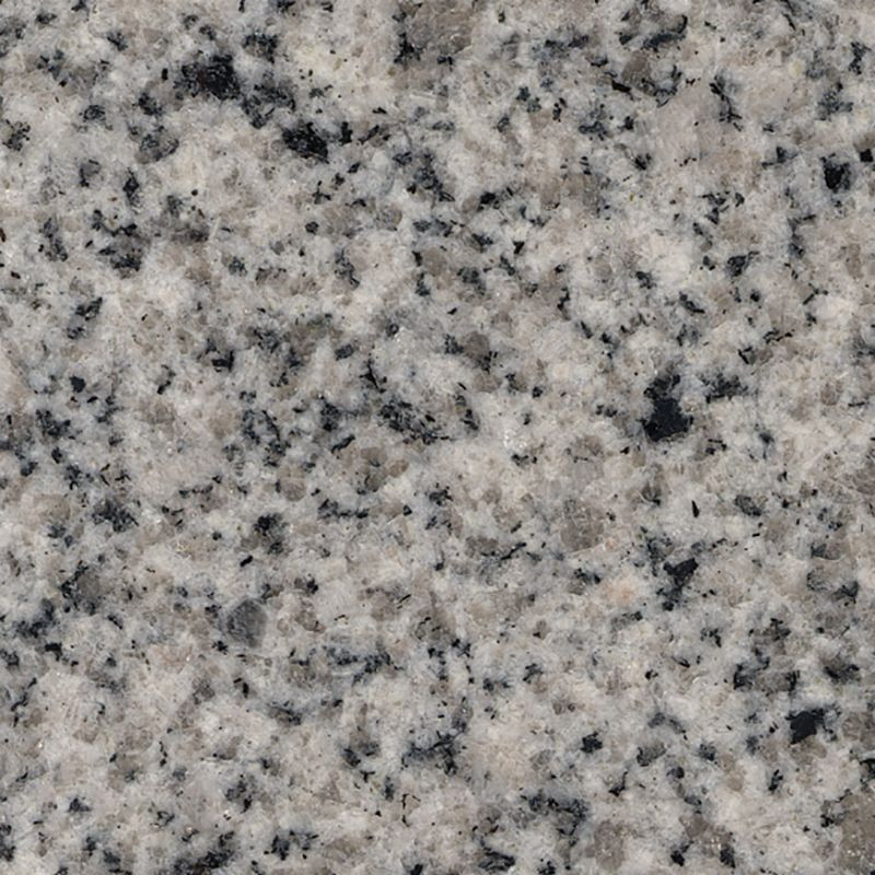 25-in x 19-in Bathroom Vanity Top with Eased Edge in Rosselin White