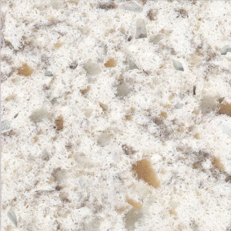 31-in x 19-in Bathroom Vanity Top with Eased Edge in Almond Delite