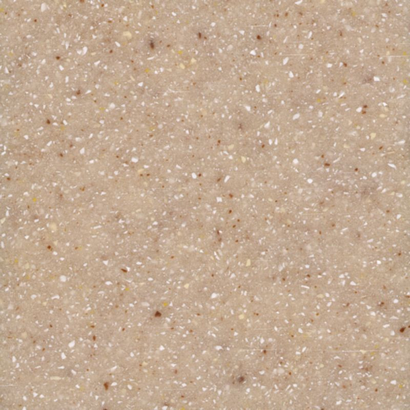 61-in x 22-in Bathroom Double Bowl Vanity Top in Sand Castle