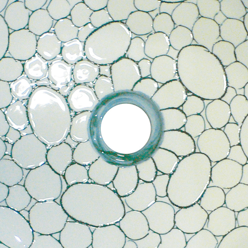 16-in Round Fireclay Vessel Sink in White/Dark Green