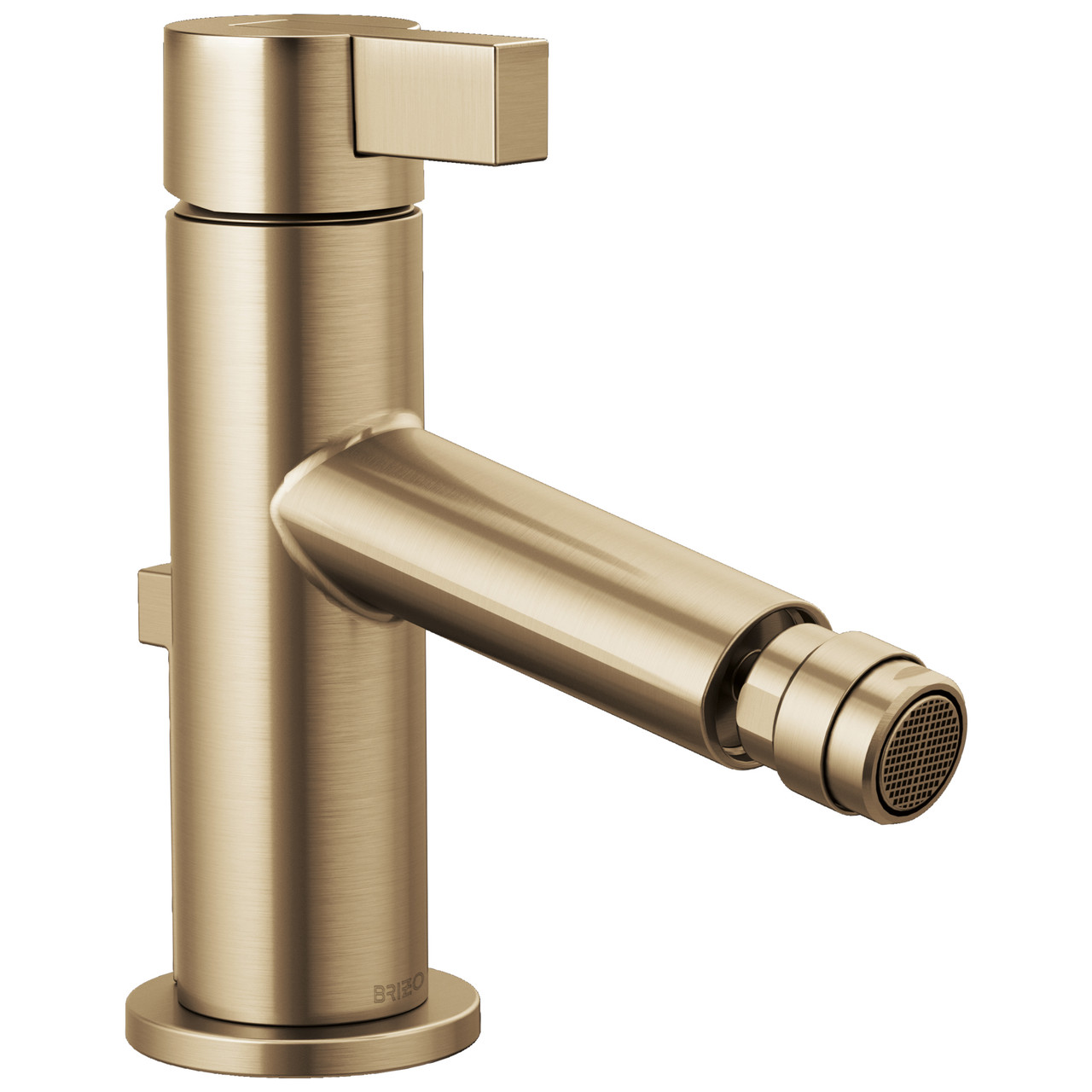 Bidet Faucet in Luxe Gold Finish Bidet Faucet in Luxe Gold Finish
