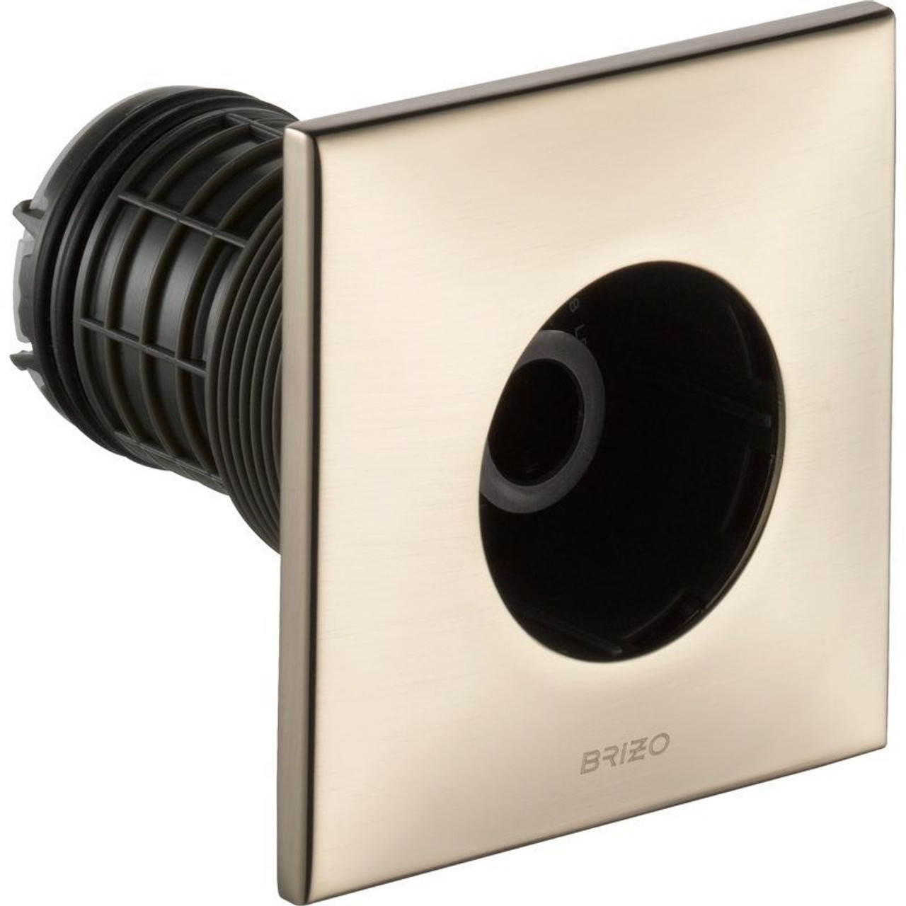 Body Spray Trim in Brushed Nickel
