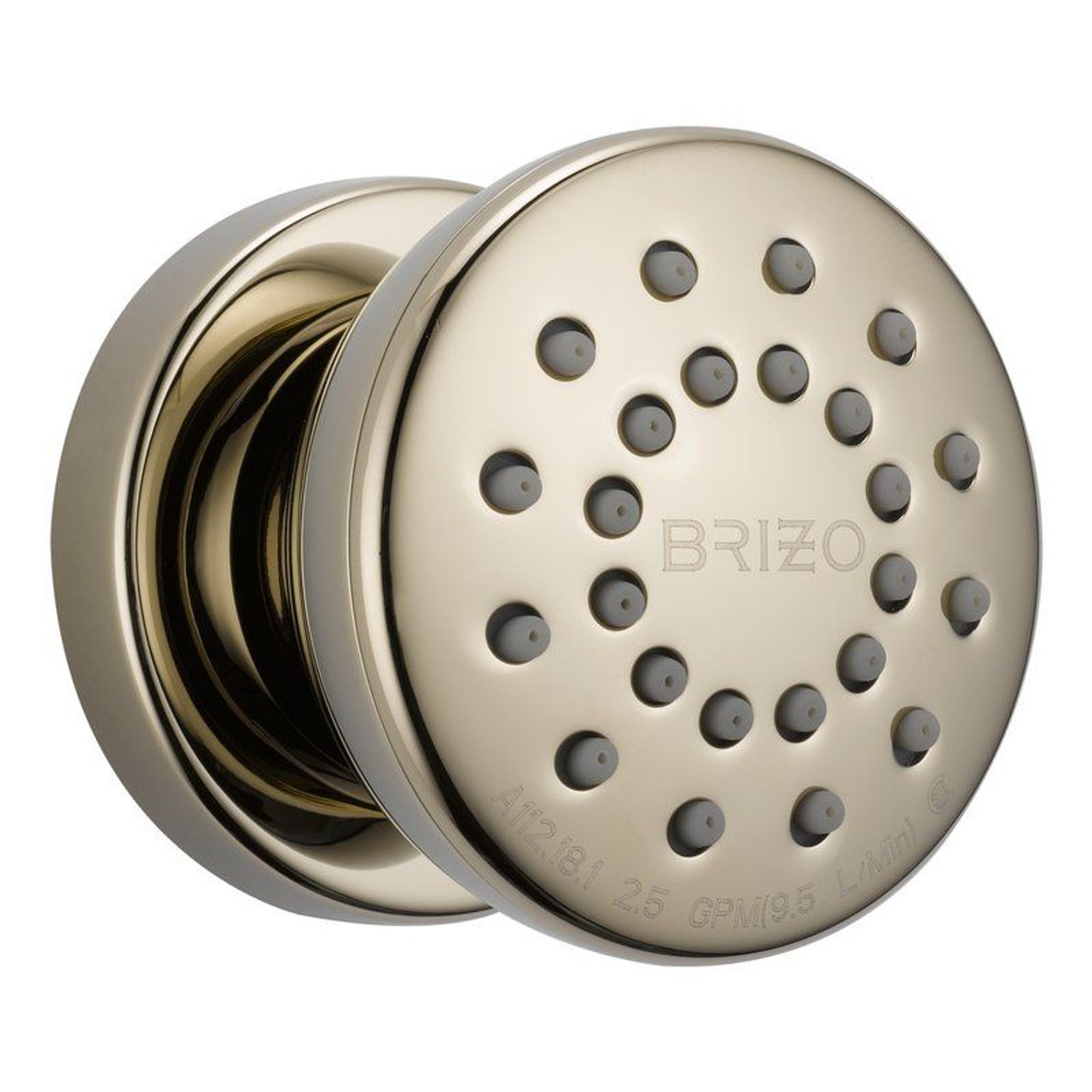 Brizo Touch-Clean 84110-PN Single Function Body Spray Trim in Polished Nickel