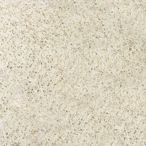 61-in x 22-in Bathroom Vanity Top with Eased Edge in Natures Path in Nature's Path