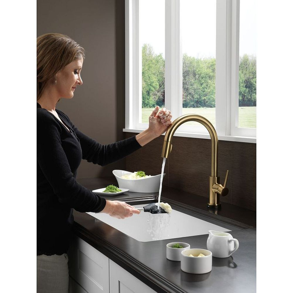 Delta 9159T-CZ-DST Trinsic Single Handle Pull-Down Kitchen Faucet with Touch2O Technology in Champagne Bronze