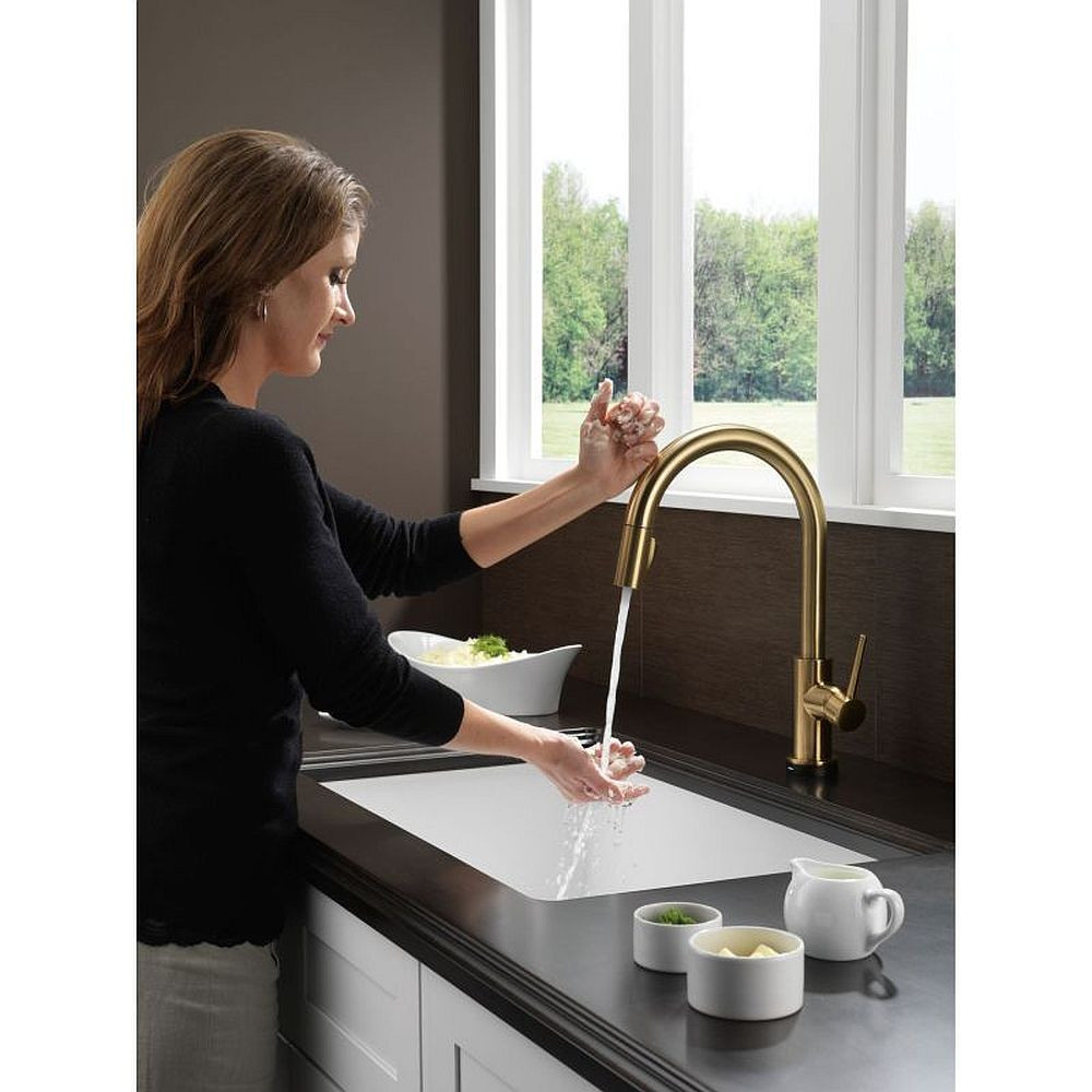 Delta 9159T-CZ-DST Trinsic Single Handle Pull-Down Kitchen Faucet with Touch2O Technology in Champagne Bronze