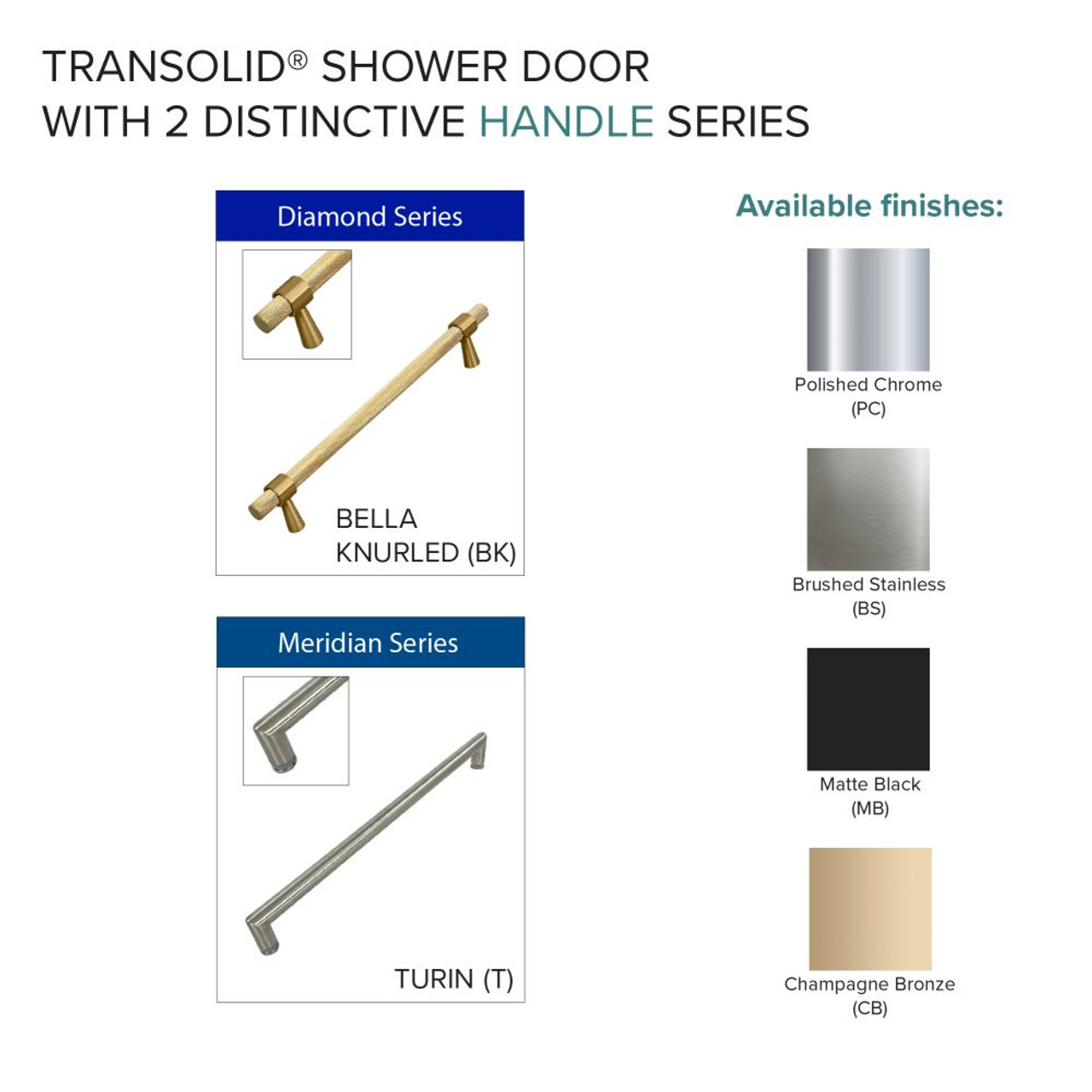 Transolid EHTB31257610C-BK-BS Elizabeth 31-in W x 76-in H Hinged Shower Door in Brushed Stainless with Clear Glass