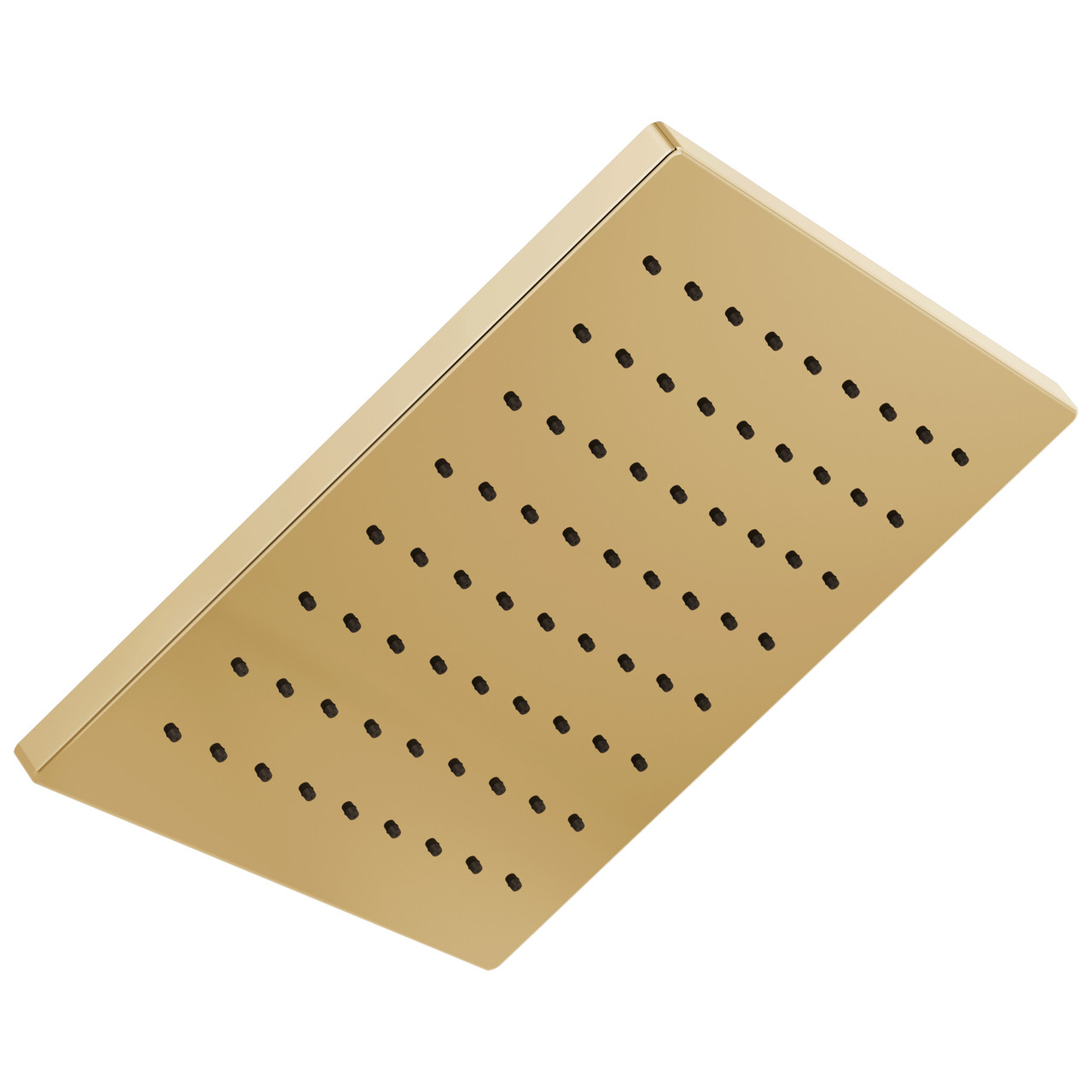 1.75 GPM Square Raincan Showerhead in Polished Gold 1.75 GPM Square Raincan Showerhead in Polished Gold