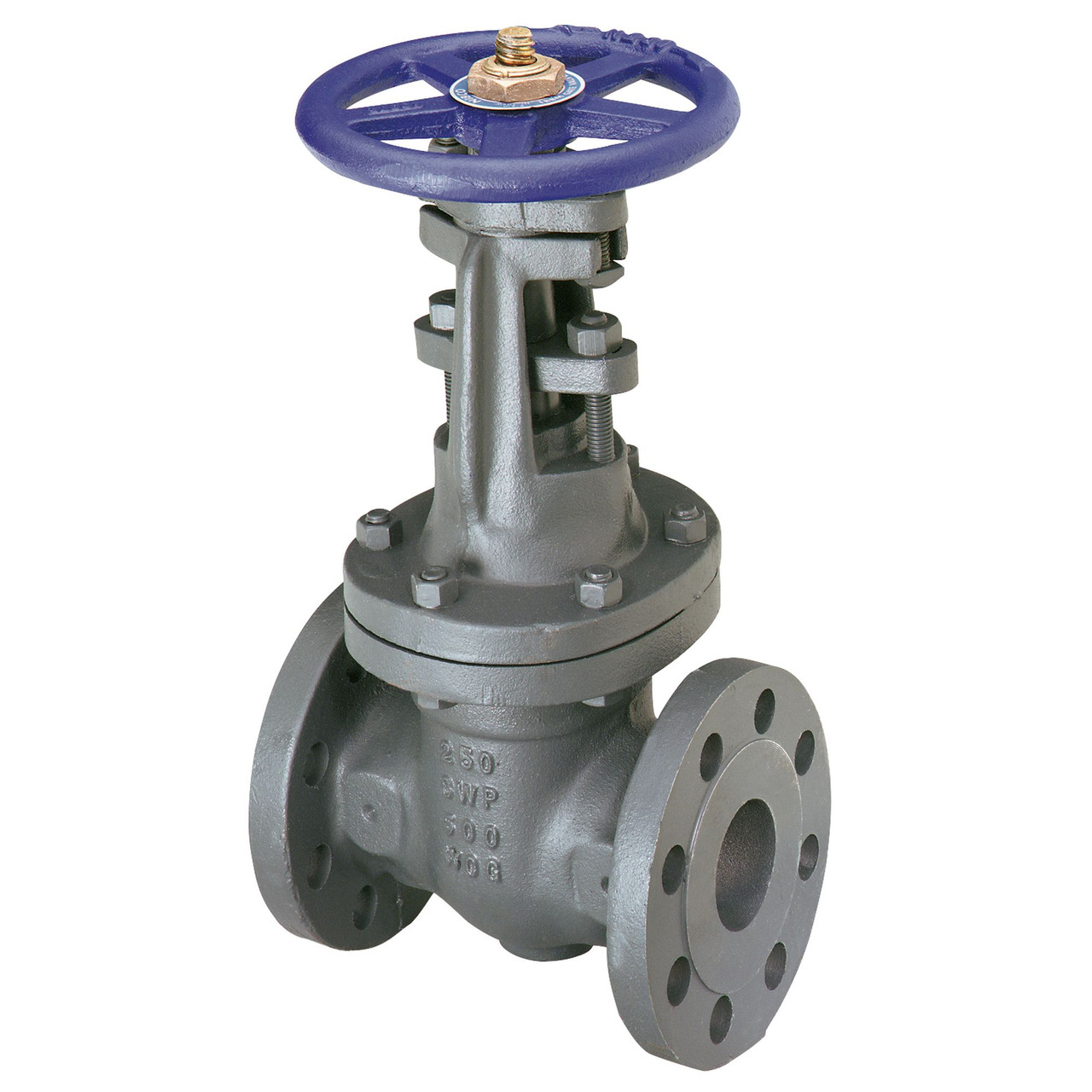 F667O 6 FLG GATE CAST IRON, Gate Valve - Class 250, Cast Iron, Outside Screw and Yoke, Flanged, F-667-O