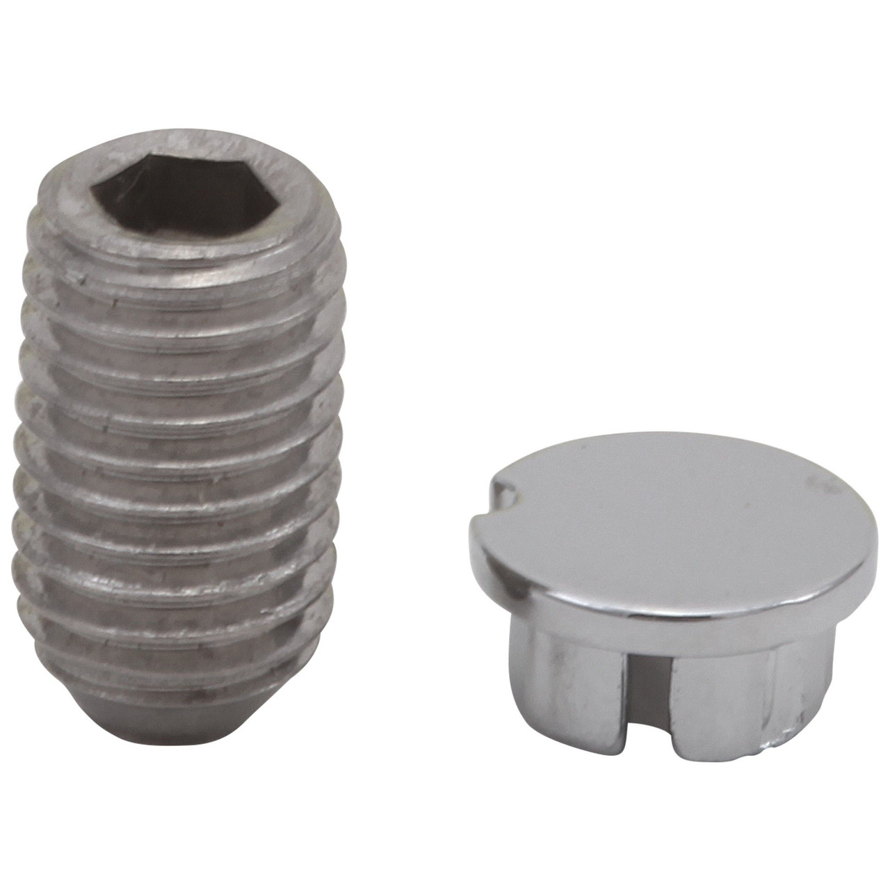 RP51019SS Pivotal Set Screw and Button, Stainless