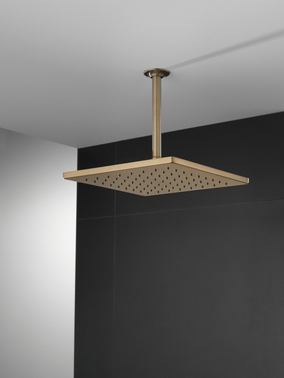 52159-CZ Universal Showering Components Single-Setting Metal Raincan Shower Head, Champagne Bronze