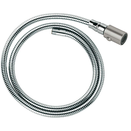 Grohe 46592DC0 LadyLux Hose and Head in Super Steel