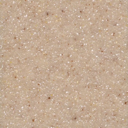 61-in x 22-in Bathroom Double Bowl Vanity Top in Sand Castle