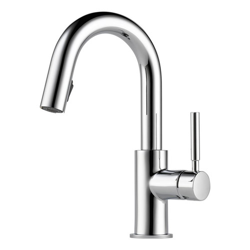 Single Hole Faucet Pull-Down in Polished Chrome