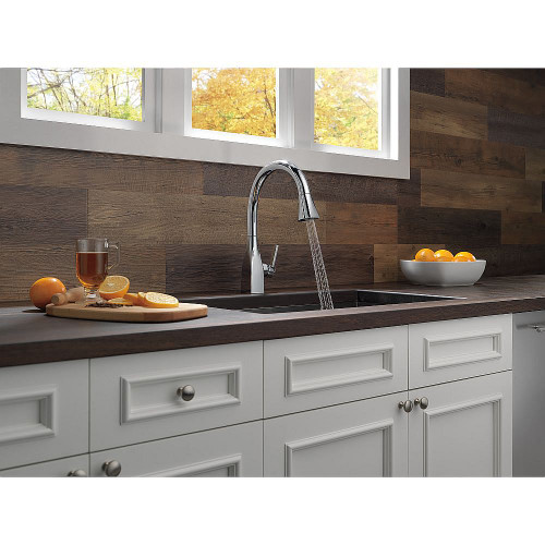 Single Handle Pull-Down Kitchen Faucet with ShieldSpray in Chrome Finish