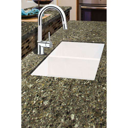 31.75-in x 19.125-in x 9.5-in Granite Double Equal Undermount Kitchen Sink in White with Grids, Strainer, Disposer Strainer, Installation Kit