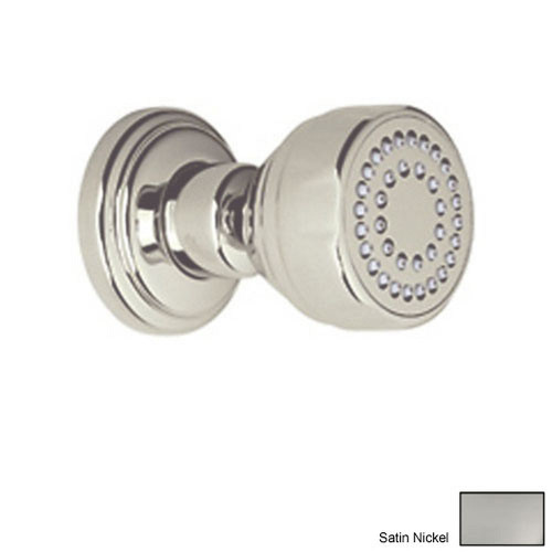 Single Function Body Spray in Satin Nickel