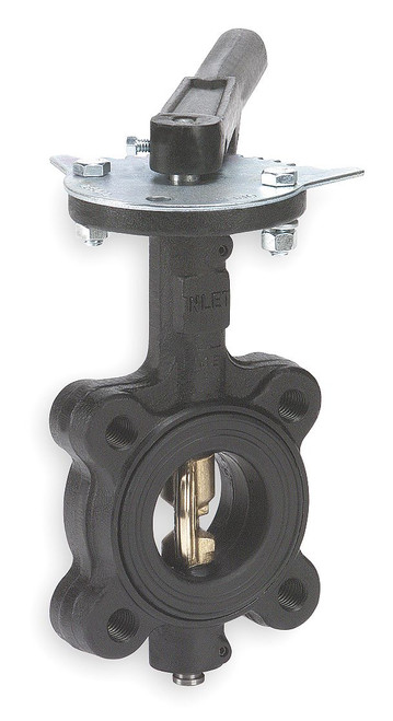Butterfly Valve, 2 1/2in