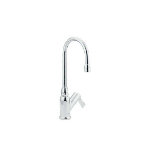 Single Handle Laboratory Faucet in Chrome