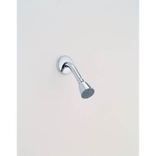 Push-Clean Shower Head in Polished Chrome
