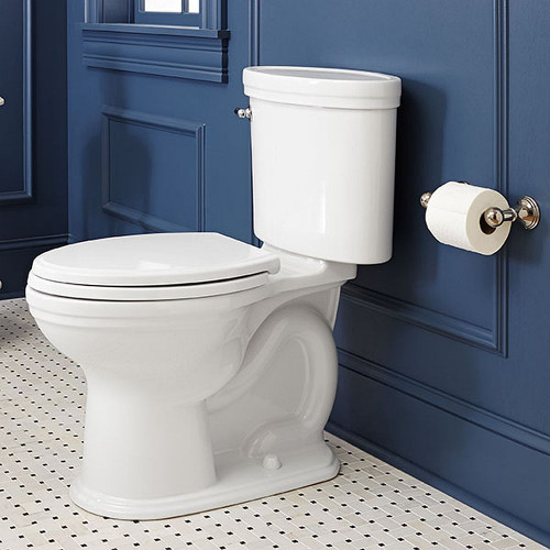 2-Post Toilet Paper Holder, in Platinum Nickel