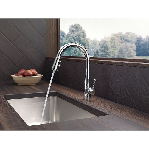 Single Handle Pull-Down Kitchen Faucet in Chrome Finish