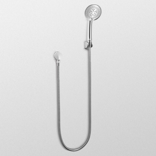 4-1/2-in Multi Function Handheld Shower in Polished Nickel