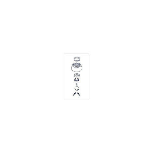 Repair Kit - Ball, Seats, Springs, Cam, Cap, Adjusting Ring and Bonnet in Brilliance Stainless