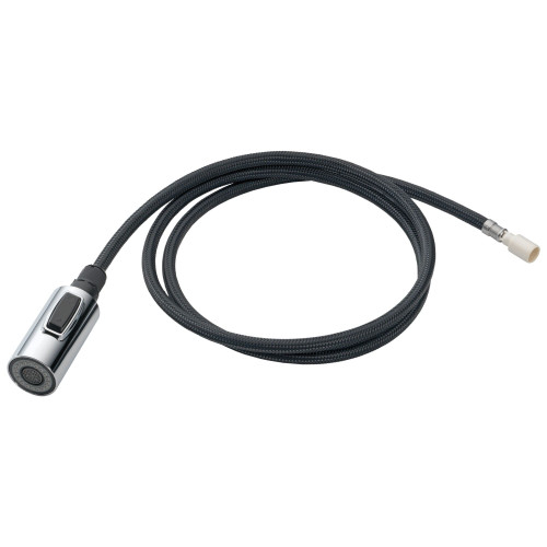 RP64069KS Trinsic Sprayer Assembly, Black Stainless