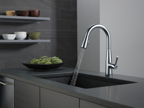 9113TV-AR-DST Essa VoiceIQ Single Handle Pull Down Faucet with Touch2O Technology, Arctic Stainless