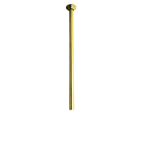 24in Ceiling Mounted Arm in Inca Brass