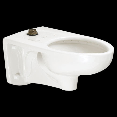 Commercial Elongated Toilet with Everclean and Rim Slotted for Bedpan in White
