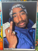 Tupac Blockmount Wall Hanger Picture