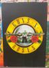 Guns n Roses Blockmount Wall Hanger Picture
