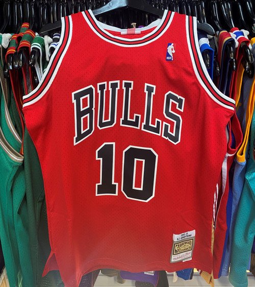 NBA Chicago Bulls #91 Dennis Rodman HWC Swingman Jersey Mitchell Ness  Striped - Cap Store Online.com