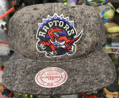 grey raptors hat