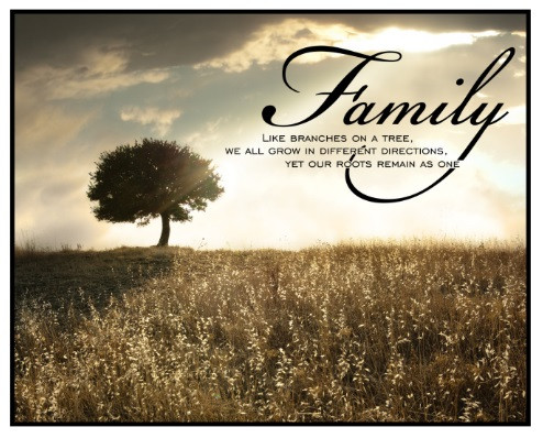 Family Like Branches On A Tree We All Grow In Different Directions Printed Wall Sign 12x15