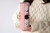 20oz Skinny Tumbler Cats Have A Nice Day - Stainless Steel Double Wall Insulated Cup With Lid And Straw - photo 2