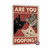 Funny Cat Sign - 8x12 Inch 'Are You Pooping?' Wall Art With Cats Staring - Perfect For Bathroom Decor, Humorous Gift