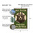Vintage-Style "Only You Can Prevent Wildfires" Metal Sign - Green Background With Bear In Ranger's Hat 8x12